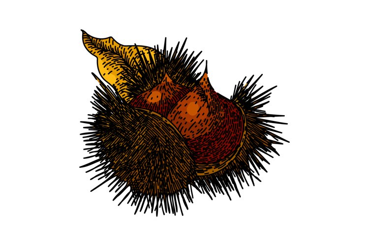 Hand Vector Image 22