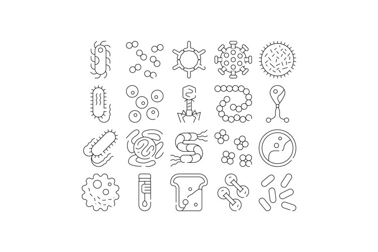 Bacteria Clipart Image 18