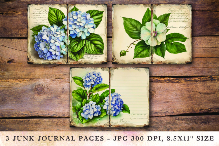 Hydrangea Clipart Image 15
