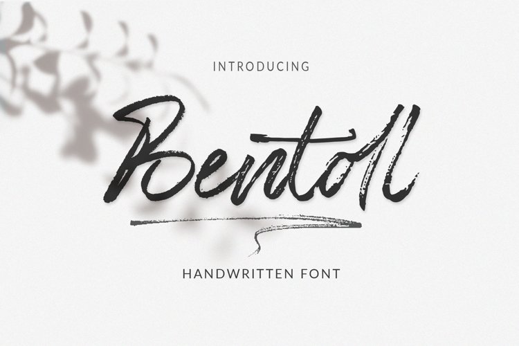 Bentoll example image 1