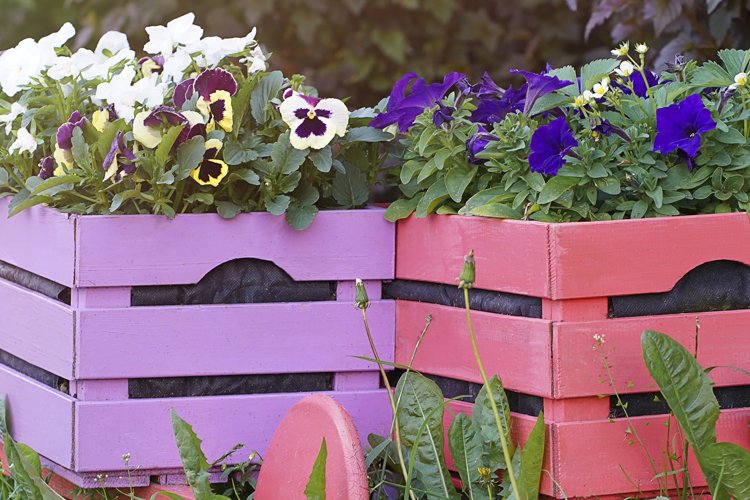 Garden Background Image 14