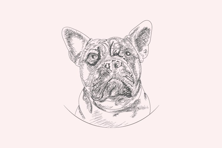bulldog hand drawn logo and abstract logo example image 1