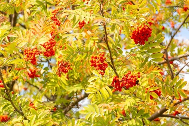 Sky Background Image 6