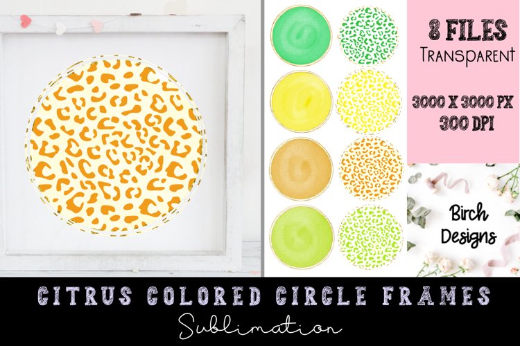 Citrus Clipart Image 19