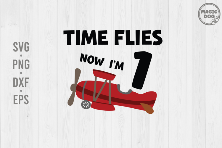 Pilot Resume Template Image 5