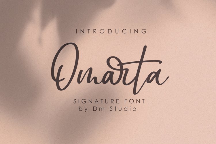 Omarta - Signature Font example image 1