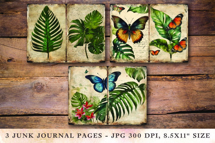 Butterfly Clipart Image 4