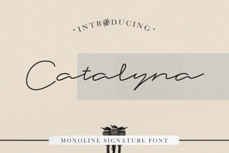 Catalyna Monoline Signature example image 1