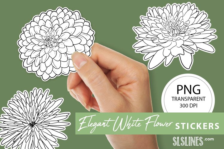 Elegant White Flowers Sticker Set PNG (1026421) Stickers Design Bundles