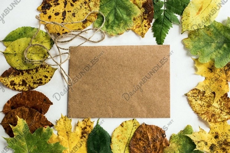 Grunge Background Image 11