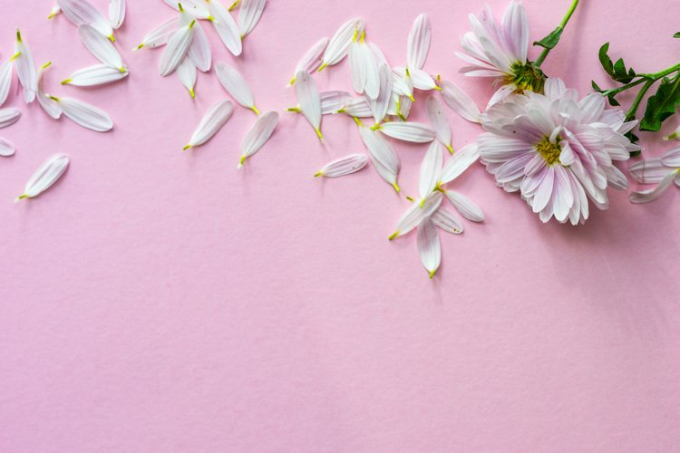 Floral Background Image 21