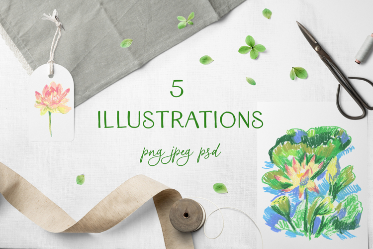 Water lily lotus flower Clip Art