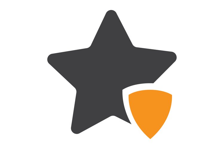 star securit shield icon concept. flat design style icon example image 1