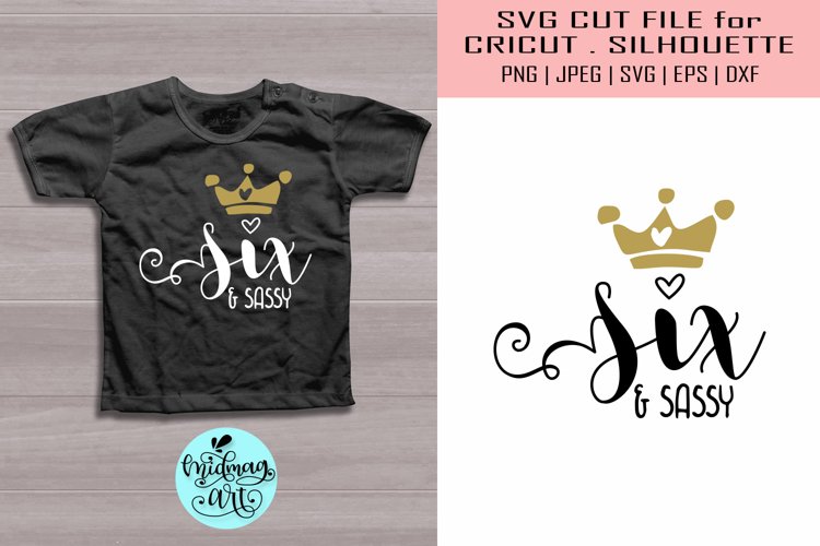 Six and sassy svg, sixth birthday svg
