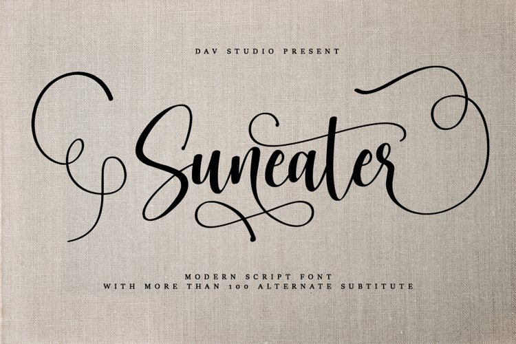 Suneater - Modern Script Font example image 1