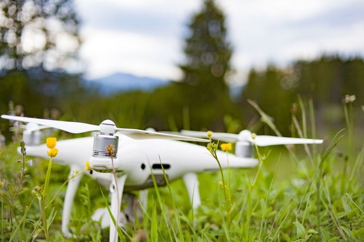 Drone in the nature example image 1