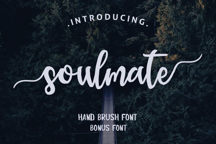 Soulmate Typeface example image 1