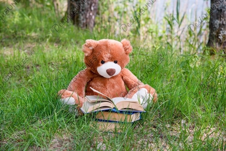 A Teddy bear reading book on summer grassland example image 1