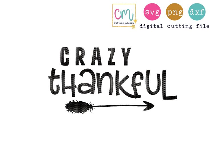 Crazy Thankful example image 1
