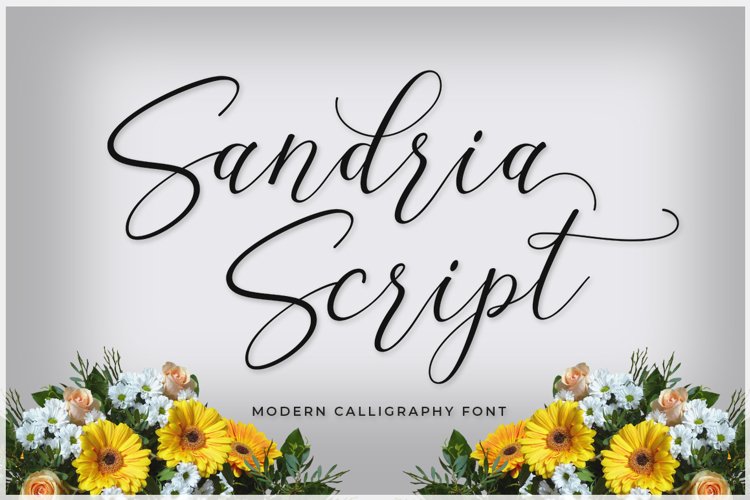 Sandria Script example image 1