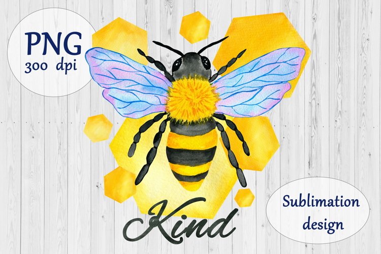 Insect Illustration Image 2