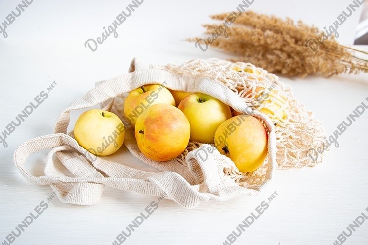 Harvest apples.