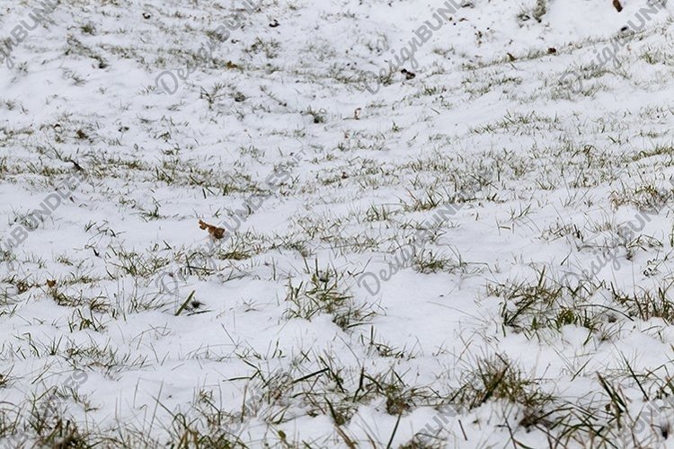 Snow drifts in winter