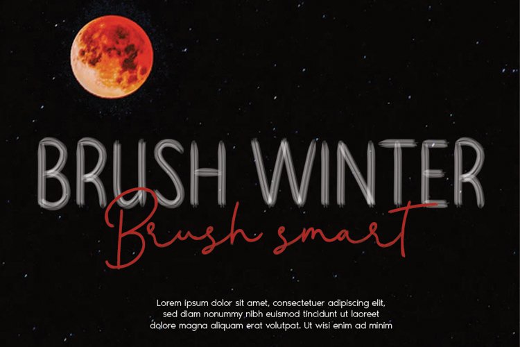 BRUSH WINTER example image 1