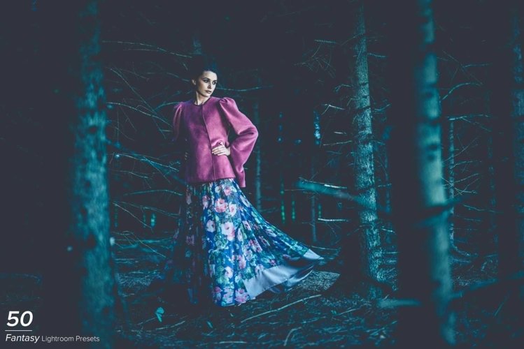 50 Fantasy Lightroom Presets example image 1