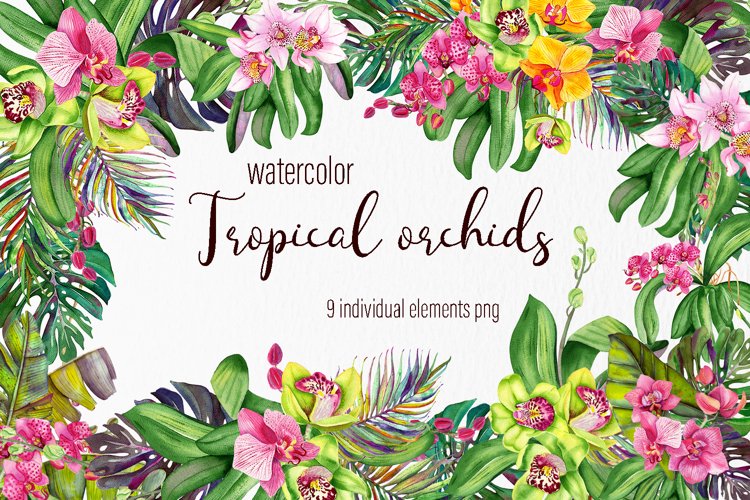 Orchid Clipart Image 23