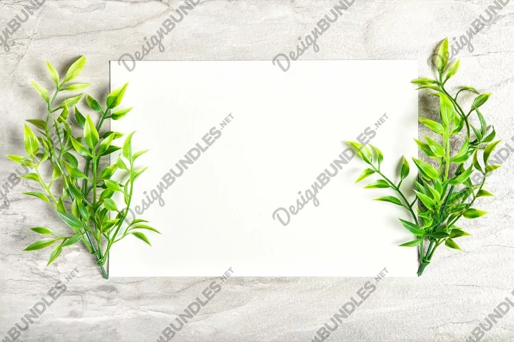 Stock photo Mockup template floral flatlay green plants