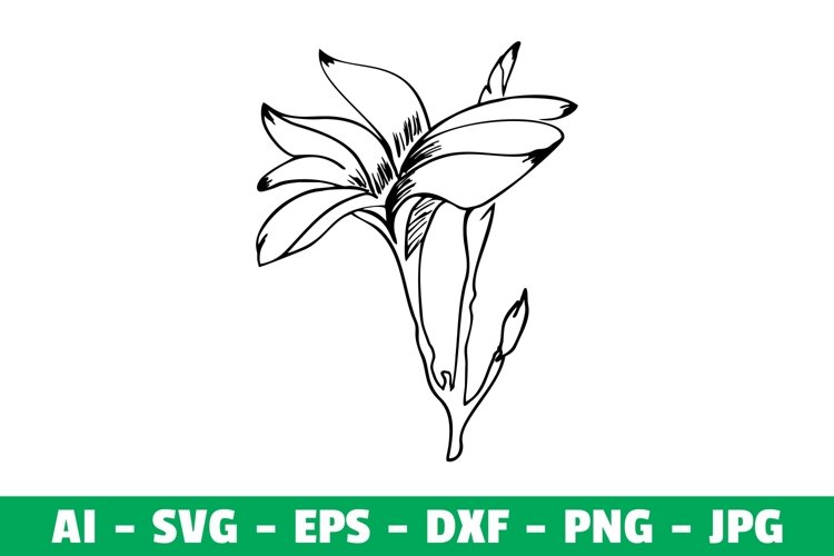 Flower Clipart SVG Craft example image 1