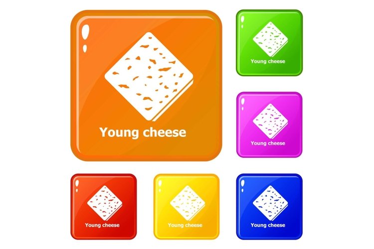 Young cheese icons set vector color