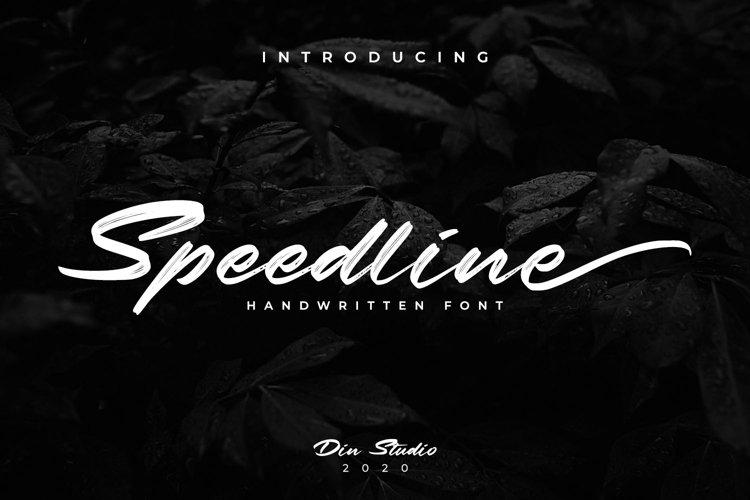 Speedline-Beautiful Brush Font example image 1