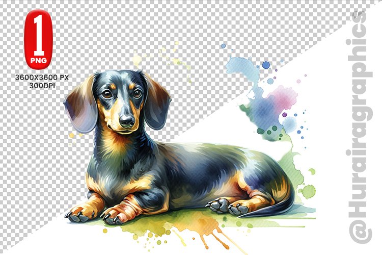 Dachshund Png Image 19