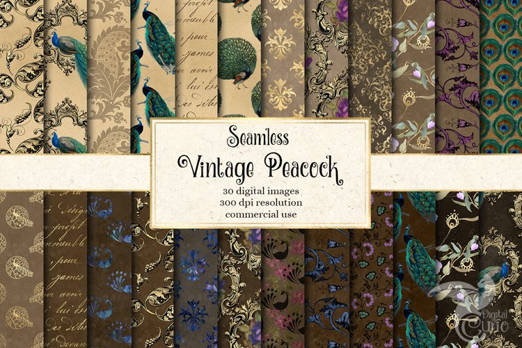 Vintage Peacock Digital Paper example image 1