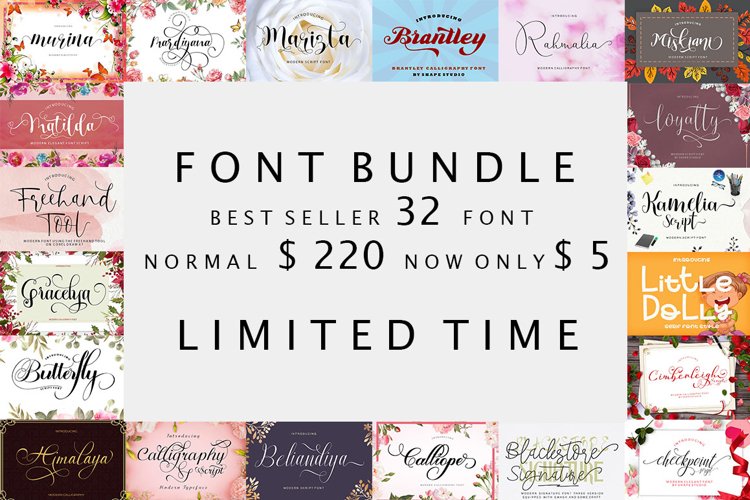 Font Bundle Only $ 5 example image 1