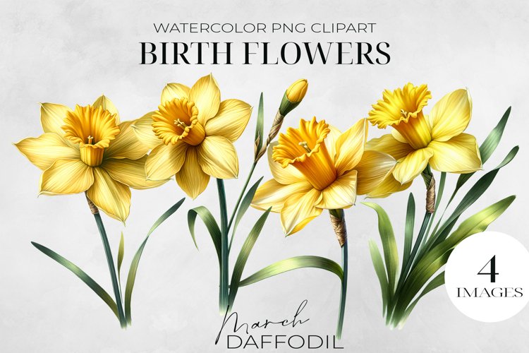 Daffodil Clipart Image 8