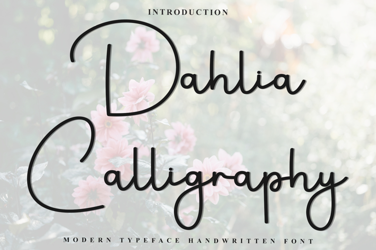 Dahlia Calligraphy
