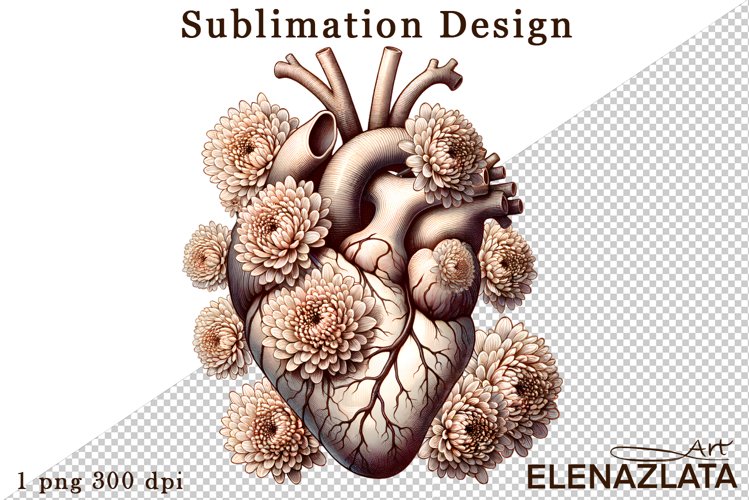 Heart Clipart Image 23