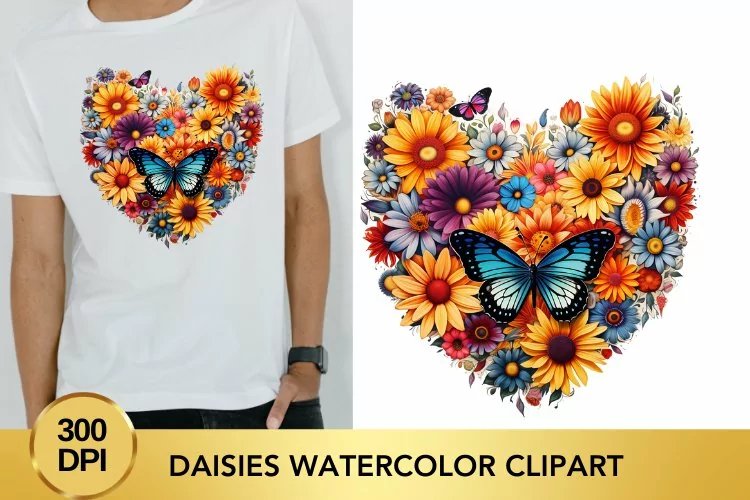 Valentine's Day daisies Watercolor Clipart