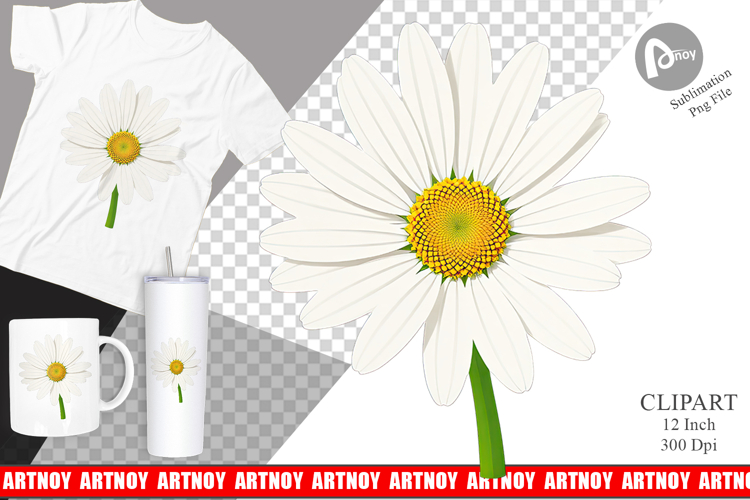 Daisy Png Image 18