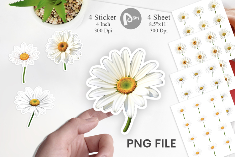 Daisy Png Image 19