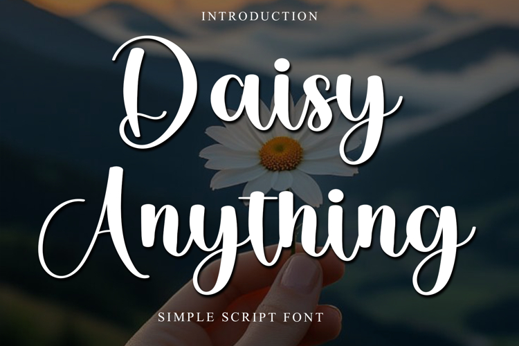 Daisy Anything