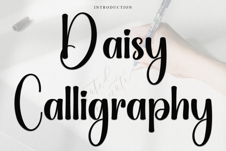 Daisy Calligraphy
