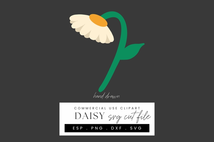 Daisy Papercraft SVG Cut File, Layered Paper Craft Flower