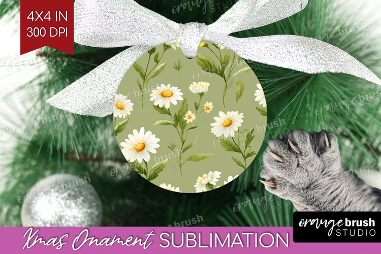 Ornament Png Image 8