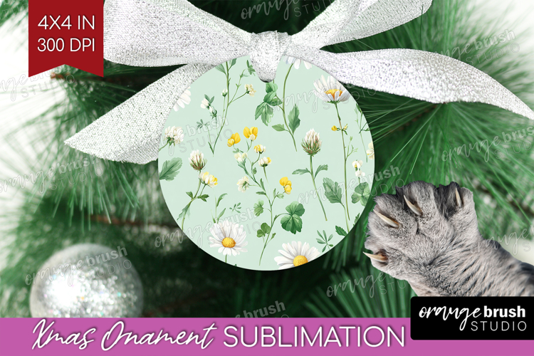 Ornament Png