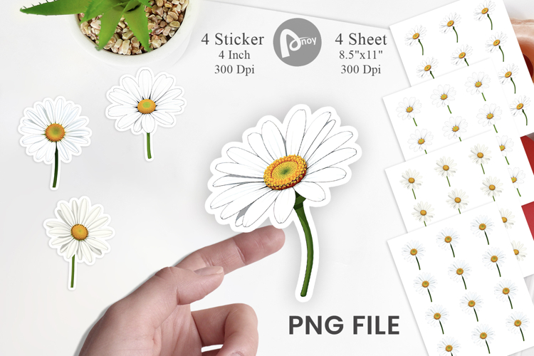 Daisy Png Image 20