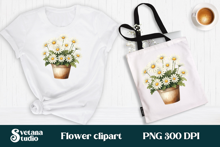 Daisy Illustration Image 9